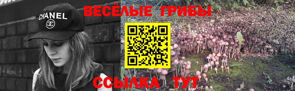 купить наркоту  Псилоцибиновые грибы MAGIC MUSHROOMS  Кропоткин  Вход с VPN  Галлюциногенные грибы GOLDEN TEACHER 