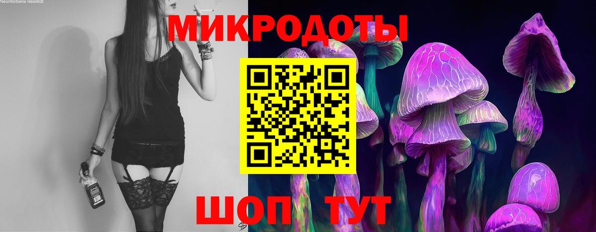Псилоцибиновые грибы Cubensis Кропоткин